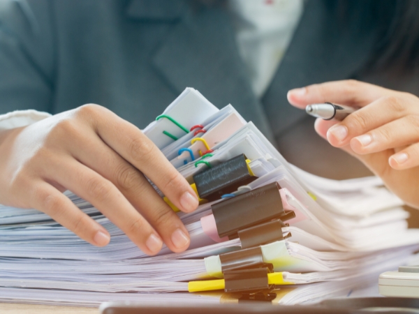 Professional Auditing Services