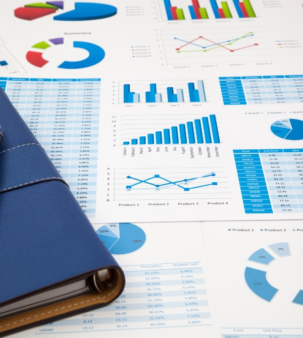 Financial Reporting Services in Dubai, UAE